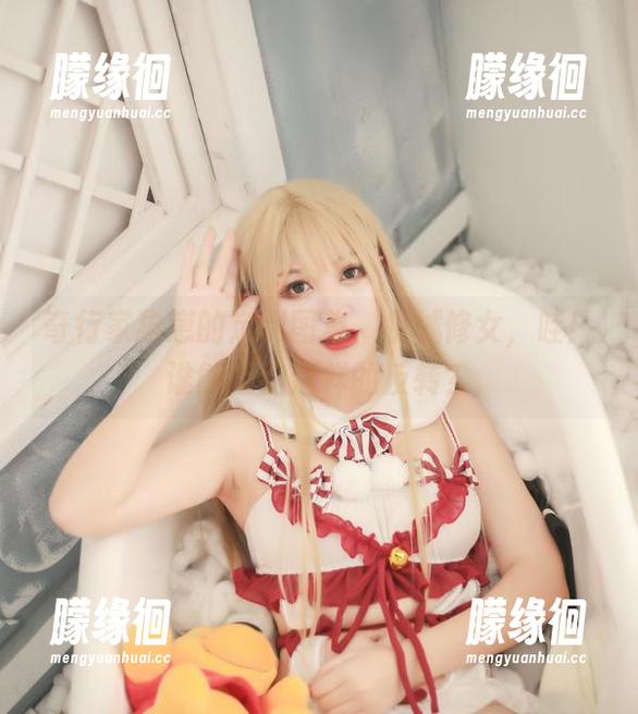 奇行家狗崽 奇行家狗崽的定制图集,机械修女,哇!谁能拒绝这样的反转?